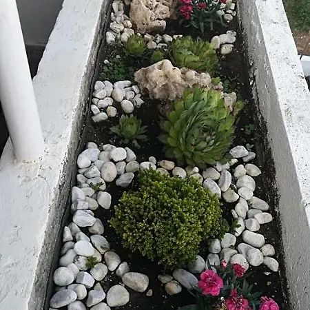Apartamento Mina Zadar